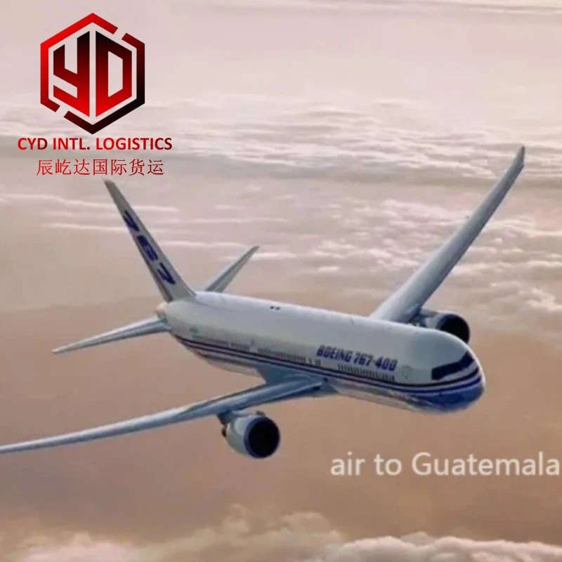 Dhl International Shipping Service high quality